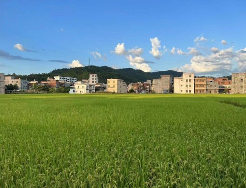 德国VS芬兰直播_德国VS芬兰直播观看免费_德国VS芬兰